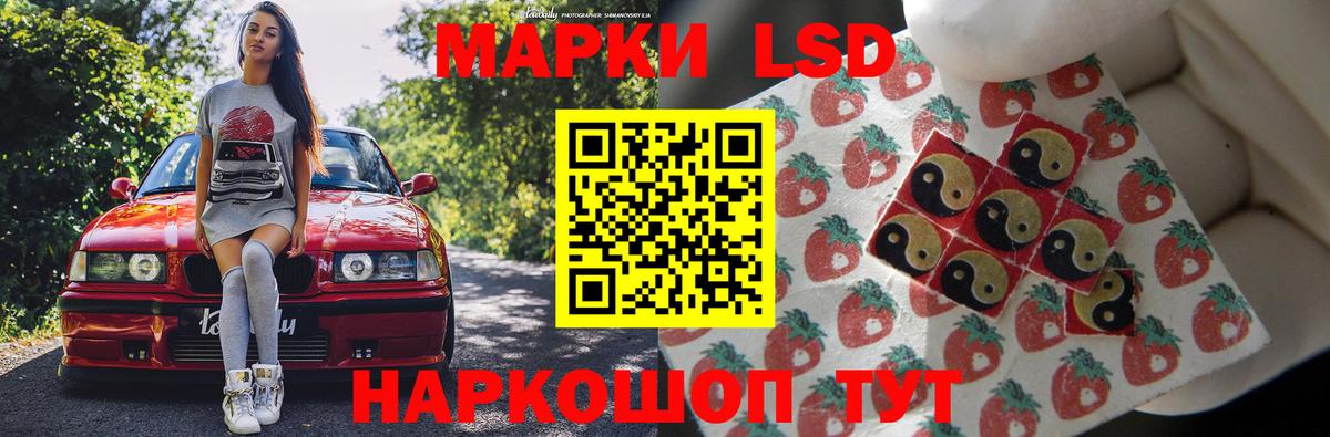 LSD-25 экстази кислота  Вход с VPN  LSD-25 экстази кислота  Новосибирск 